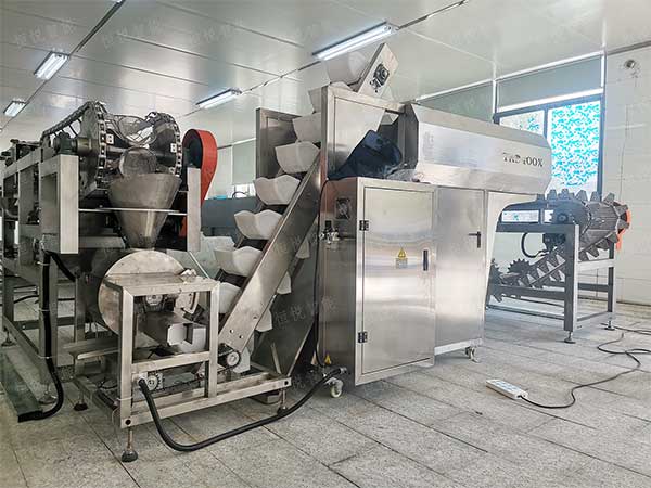 土豆粉包装机定向开发专用设备